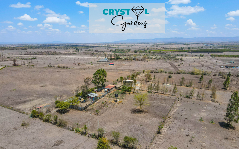 Crystal Gardens — gallery